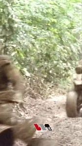 15K views · 721 reactions | Experience the thrill of off-road racing!...