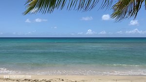 1.2K views · 105 reactions | Beautiful Cane Bay, St. Croix. We spent a lot of time here last week, snorkeling, floating in the warm water, walking the beach and enjoying the food & drink at the 3 restaurants close by. A very popular dive site, you can easily access the Cane Bay Wall from shore - a dramatic drop of over 3,000 ft! Have you spent time in Cane Bay, St. Croix? What did you enjoy most? | Rum Therapy | Facebook