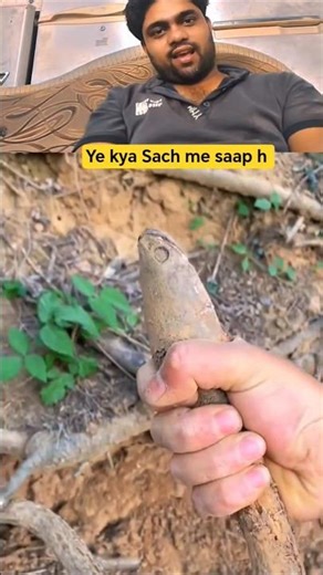 Top Learning Tools for Tech Enthusiasts #shorts #shortsfeed #viralshorts 🍓 157