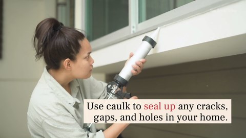 How To Keep Bees Away From Your House