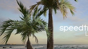 speedtree中字：19. 棕椰树Palm Practice _ Part 1