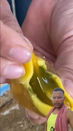 Plastic or protein? The truth behind China’s artificial eggs