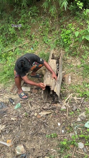 I didn't expect to get such an expensive animal #youtubeshorts #nature