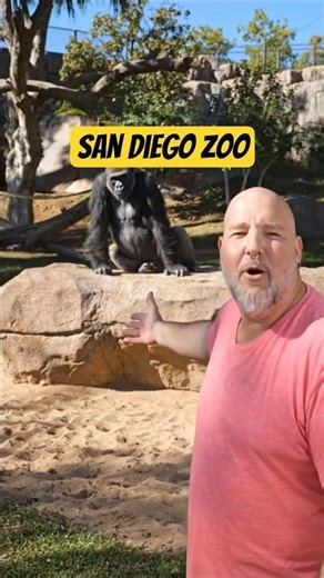San Diego Zoo: 12,000 Animals in ONE Place!