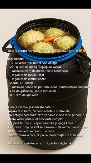 Reteta pentru varza murata butoi mic !👌👌 #ButoiMicGustMare #VarzaDeIarna #SarmaleDeCasa | Retete Fara Secrete