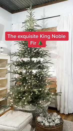 King Noble Fir Christmas Tree Options: Flocked, LED Lights, Multiple Sizes