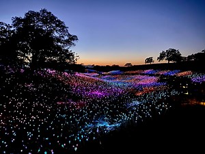 Field of Light at Sensorio — an LED Light Experience by Bruce Munro #FieldOfLight #ArtTuesday