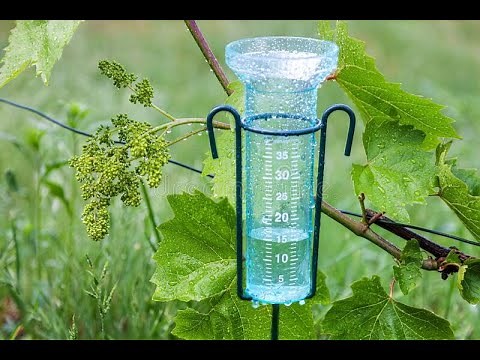 What is Rain gauge ? || about rain gauge || rain gauge #rain