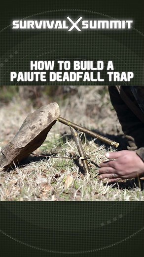 Survival Summit on TikTok