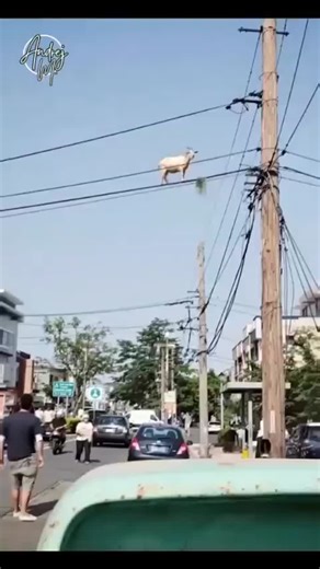 🐐 Did you know for every 300 unsafe acts, there is 1 major injury?According Heinrich Safety Pyramid. behind every serious accident, there are usually 29 minor injuries and 300 near misses or… | Andrej Morocz | 22 comments