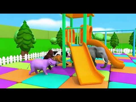 FUN Animal Slide Adventures