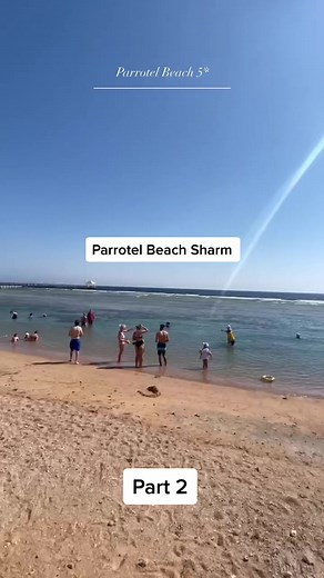 Parrotel Beach Resort Review and Travel Recommendations