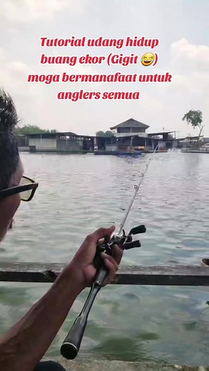 Casting Techniques for Live Shrimp Fishing in Ponds | Tutorial