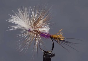 Video: How to Tie the Last Chance Purple Haze - Orvis News