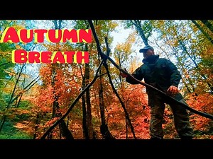 🪓Solo Camping in the Haunting Forest | Building Survival Shelter (ASMR Camp)