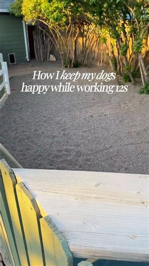 How I Keep My Dogs Happy While Working 12 Hour Shifts