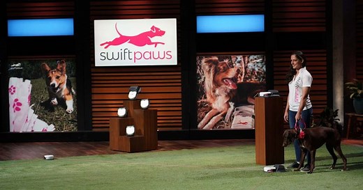SwiftPaws on 'Shark Tank': What is the cost, who is the founder, and how to keep your dog active and healthy