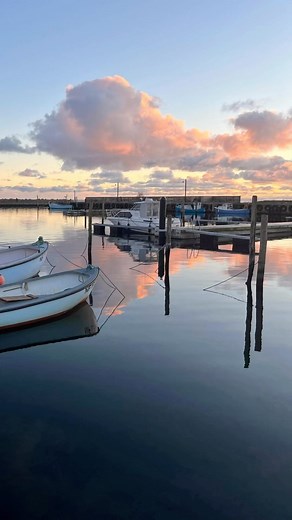 Nyd en middag med den smukkeste havudsigt! ☀️ Vores lange kystlinje byder på mange hyggelige havne, hvor du kan nyde en fantastisk frokost eller middag🍽️ Book bord på et af de skønne spisesteder og nyd havudsigten med dine kære - måske på et af disse steder: 📍Falster Kyst ved Hesnæs Havn 📍Restaurant Bramgåsen ved Gedser Lystbådehavn 📍Café Trekanten på Slotsbryggen i Nykøbing F 📍Restaurant Ö ved Nysted Havn 📍Café Sand vedNysted Havn 📍Restaurant Fjorden ved Nakskov Fjord Lystbådehavn 📍Den 