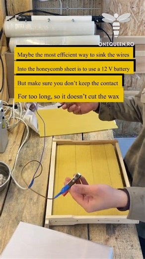 308K views · 1.8K reactions | Maybe the most efficient way to sink the wires into the honeycomb sheet is to use a 12 V battery, but make sure you don't keep the contact for too long, so it doesn't cut the wax For full videos, check these channels: @Shabalin's Apiary - YouTube @vladbelozerov2611 - YouTube #fblifestyle | OneQueen.ro | Facebook