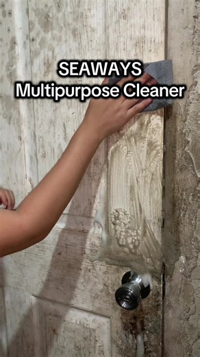 Effective All-Purpose Cleaner from Seaways