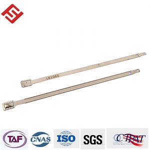 [Hot Item] Metal Strap Seal Security Metal Band Lock Truck