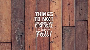 411 reactions · 359 shares | Roto-Rooter presents “What not to put down your drain.” | Roto-Rooter | Facebook