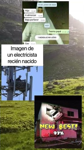 memes graciosos 3 #humor #animals #automobile #autos #accident #chat #gracioso