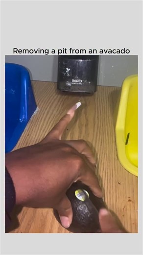 Dillon Mavrich on Instagram: "Avocado Pit | Romans 12:12 #christian #bible #reaction"