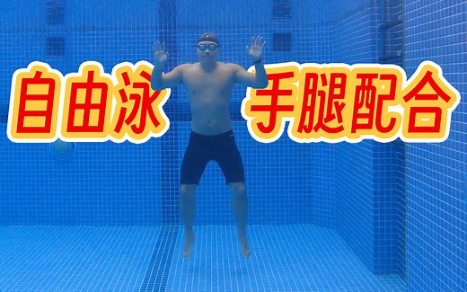 【游泳讲解】自由泳手腿配合的原理，手腿配合到底是怎么出现的？