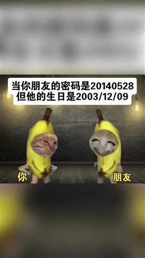 到底发生了什么！#cheems #funny #share