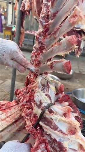 Bone removal technique operation process: Locate the joint socket/Cut along the bone slit