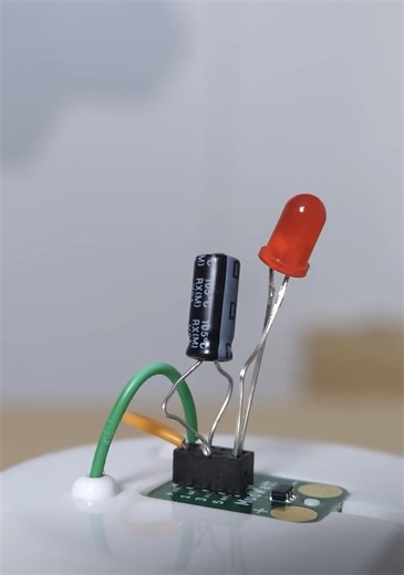 Bacteria that can power a light bulb