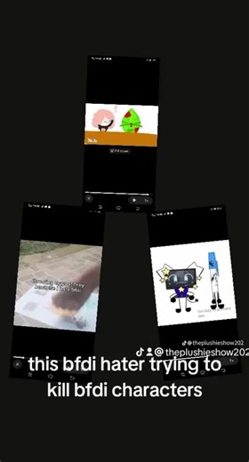 BFDI Characters for Fans and Haters