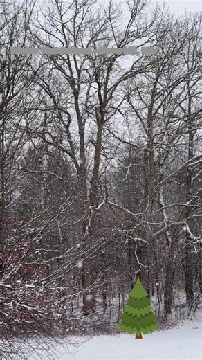 Haverhill, Massachusetts, December 24, 2025. - White Christmas | Haverhill (MA) Happenings