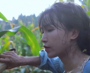 54K views · 215 reactions | One of China’s most famous internet stars makes a living by portraying an idyllic rural lifestyle. https://inks.tn/yiez – Get six stories like this in one daily newsletter: inks.tn/get-newsletter Download our beautiful app: inks.tn/app-post Listen to us on your smart speaker: inks.tn/voice | Inkstone | Facebook