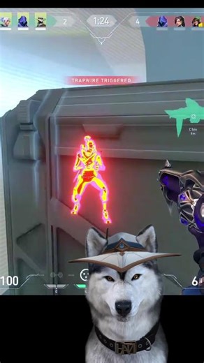 My favourite Cypher setup to use on Haven C site. There are so many ways to play this setup, you can stay on C the entire defensive half and the enemy team will eventually give up trying to attack you. Allowing your team to have 4 people A/B side! #valorant #valotok #cypher #cyphermain #cyphersetup #riotgames #fyp #foryou #foryoupage #twitchstreamer #vtuber #husky #game #haven #guide #acre #acrethedog