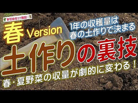 夏野菜の土作り（春の畑作りの基本と夏野菜向けの土作りのやり方）驚くほどよく育つ土作りの裏技！