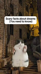138K views · 2.6K reactions | Scary facts about dreams, you need to know #fyp #facts #original #cats #history | Simply Stated History | Facebook