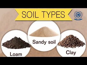 What Are the Characteristics of Weeds in Agriculture?