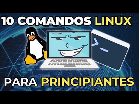 10 comandos básicos de Linux que todo principiante DEBES SABER