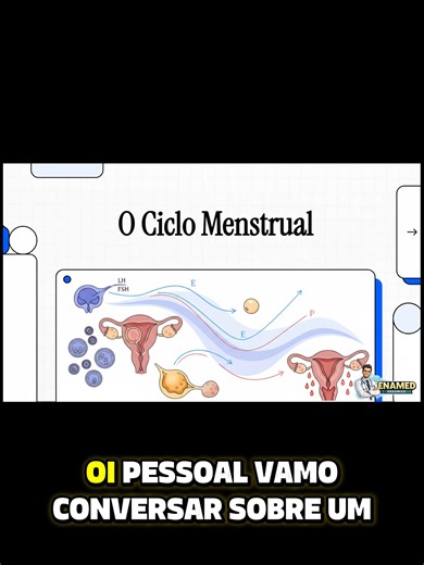 🩺 CICLO MENSTRUAL – BASE PARA ENTENDER A GINECOLOGIA Hormônios, ovulação e endométrio seguem uma sequência lógica — e a banca cobra essa ordem. Aprenda as fases do ciclo menstrual, os hormônios envolvidos e quando ocorre a ovulação. ✔️ Fase folicular, ovulatória e lútea ✔️ Papel de FSH, LH, estrogênio e progesterona ✔️ Mudanças endometriais ✔️ Duração normal do ciclo ✔️ Pegadinhas frequentes 🎯 Ginecologia sem confusão. 📚 Direto para residência e ENAMED. #ginecologia #ciclomenstrual