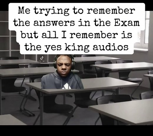 Exploring the Yes King Audio Meme Phenomenon