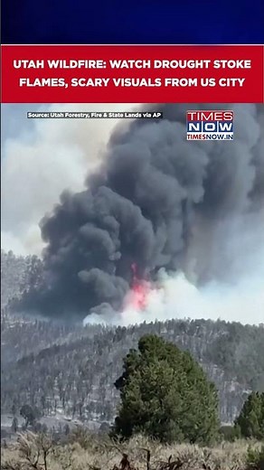Utah Wildfire: Horrifying Visuals From US Town; Evacuation Underway #shorts