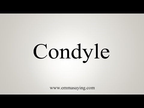 How To Say Condyle