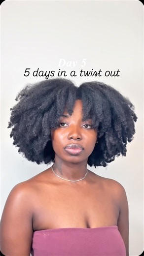 Charity 🍒 on Instagram: "*Twistoutaholic * what my twist out looks like during the week #twistout #twistoutstyle #twistoutonnaturalhair #naturalhairstyles #naturalhair"