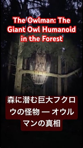 森に潜む巨大フクロウの怪物 ━ オウルマンの真相The Owlman: The Giant Owl Humanoid in the Forest