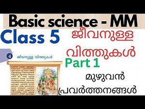 Class 5 Basic Science MM Unit 4 Seeds life explanation and Activities #class5