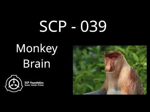 SCP 039 - Monkey Brain