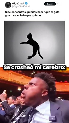 #auracat 🫨