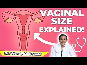 How Big Should A Vagina Be? I Anatomy and What's Normal | Dr. Wendy McDonald